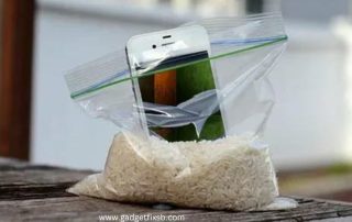 What to Use to Clean a Water-Damaged Phone